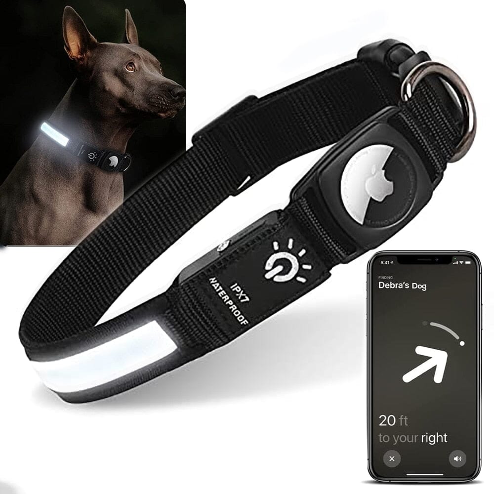 AirCollar™️ - The Ultimate Dog Collar for Apple AirTag