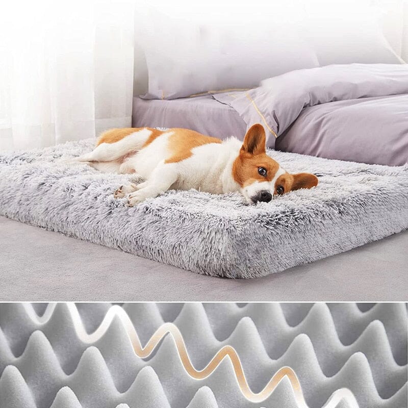 Luxuriously Soft Plush Dog Bed