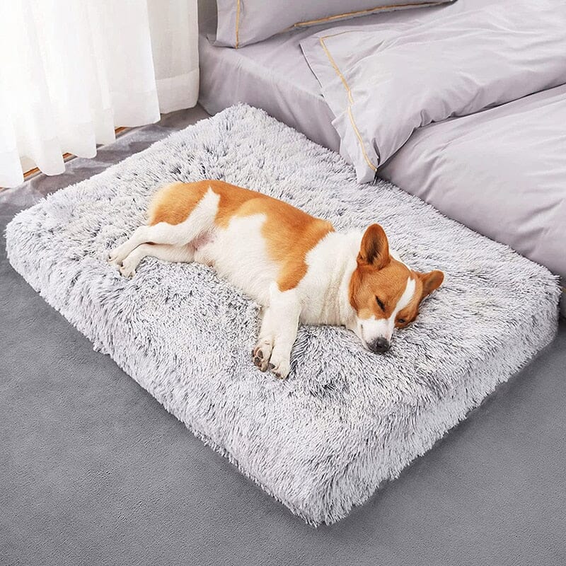 Luxuriously Soft Plush Dog Bed