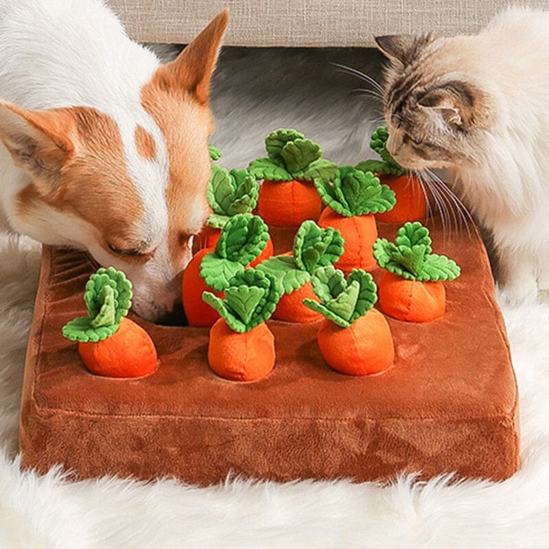 Pet Vegetable Chew Toy