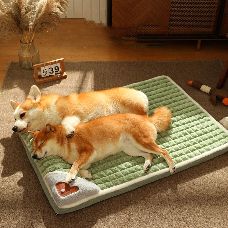 PoshPup: The Ultimate Luxury Dog Bed