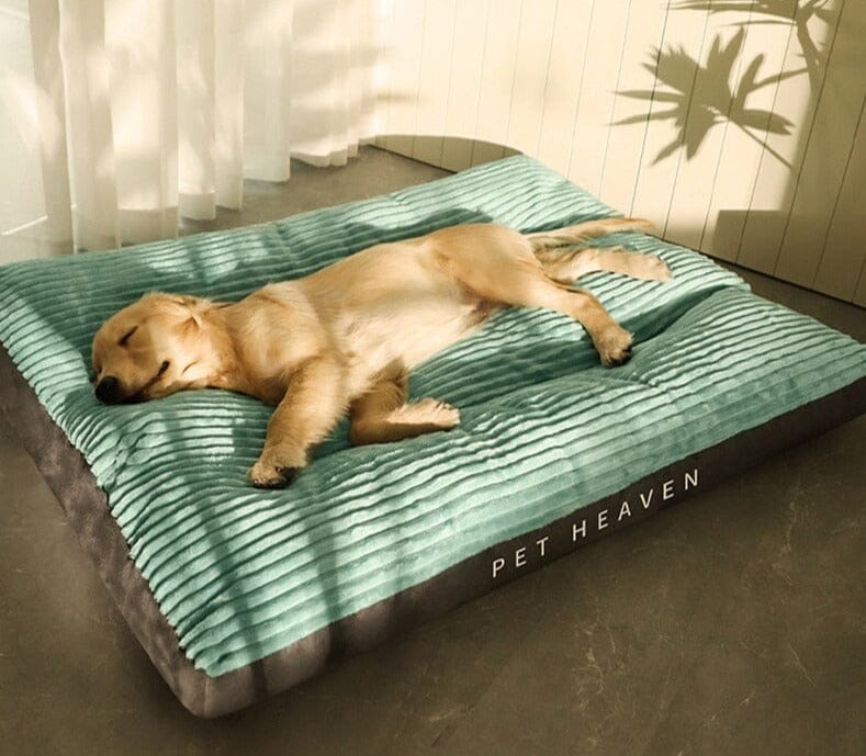 The Innovative and Comfortable Dog Bed